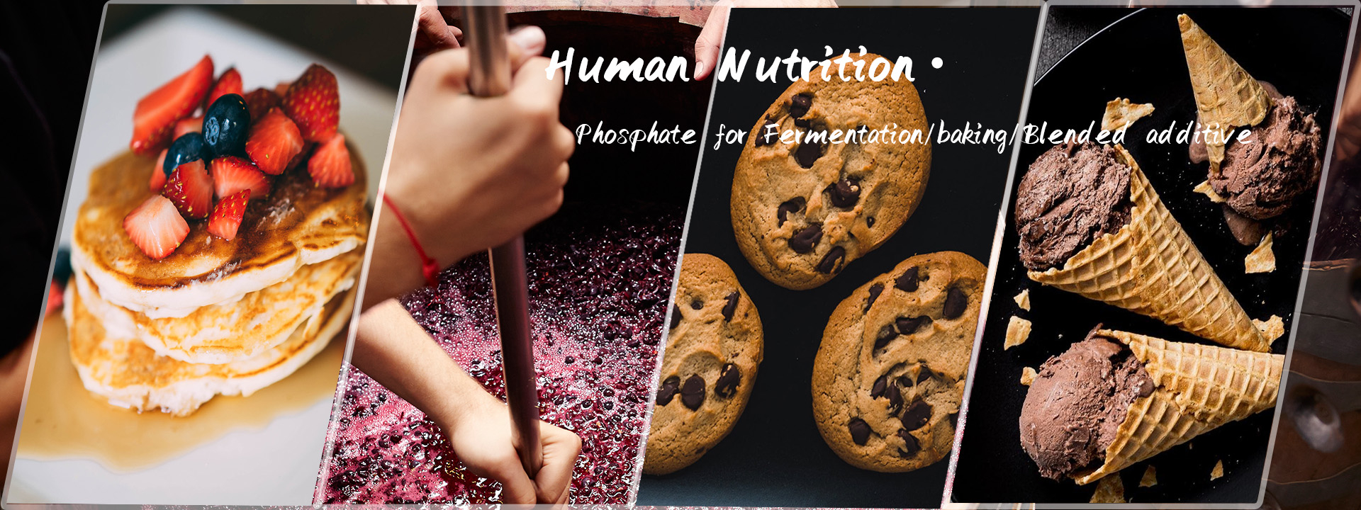 Hiphos chemical-human Nutrition